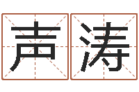 李声涛纯命点-免费八字算命起名