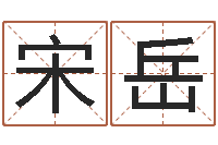 宋岳周易预测李洪成-手纹算命图解