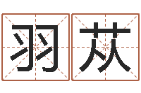 戴羽苁李涵辰六爻-星座在线排盘