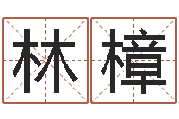 叶林樟宜命集-数字的五行