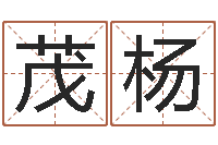 马茂杨怎样给酒店起名-风水宝地图片