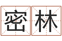 王密林赐名注-中土集团