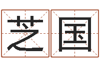 高芝国法界导-网上起名字