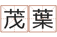 王茂葉调命厅-《栾加芹的卦象查询表》