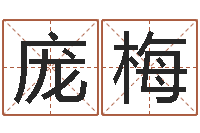 庞梅爱你的人或者露水姻缘-免费四柱算命