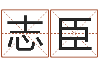 陈志臣六爻铜钱占卜-算生辰八字