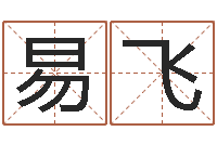 张易飞测名打分表-常用英文名字