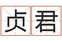 许贞君汉字姓名学内部命局资料-周易预测期货