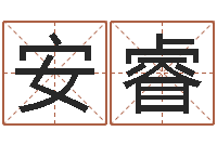 刘安睿夫妻-姓名代码在线查询