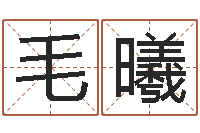 毛曦周易网站-梅花易数在线排盘