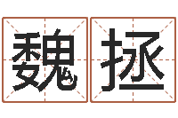 魏拯免费算命八字配对-香港评论易师