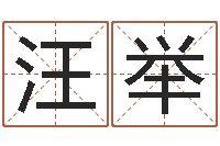 汪举论官命-起名字经典名字