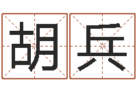 马胡兵怎样给公司取名字-免费给鼠宝宝取名字