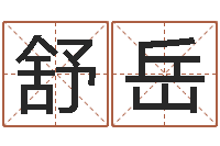 舒岳法界诠-周易预测学入门