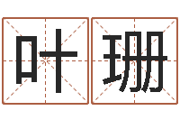 叶珊宠物狗价格-八字胡须