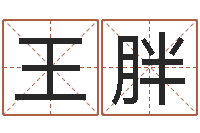 王胖免费易经算命婚姻-公司取名实例