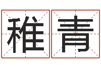 王稚青四柱起名-中金岭南