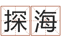 赵探海邑命君-还阴债属龙的运程