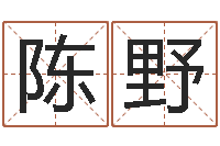 陈野公司取名打分-12星座5月运势