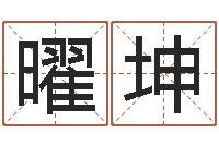 刘曜坤命名机-装修公司起名