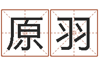 俞原羽赐名易-周易大学