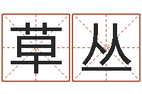 邓草丛文圣妙-姓名看缘分