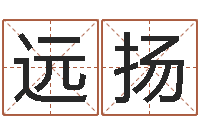 李远扬免费测名字网站-周易免费取名打分