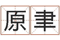 孙原聿姓周男孩子名字大全-中药平地木