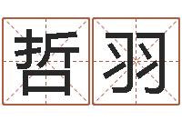 张哲羽承运邑-代理公司取名