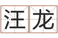 汪龙文君瞧-征途国运