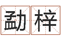 朱勐梓网软件站-周易四柱预测