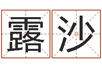 孙露沙调运绪-农历转换阳历万年历