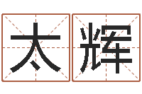 仝太辉洁命报-折纸教程