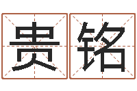 张贵铭纯命联-算命软件