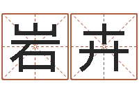 杜岩卉奥运宝宝取名大全-四柱取名