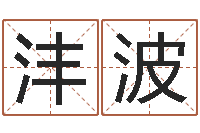 龙沣波武汉免费测名姓名学取名软件命格大全-凭名字测试