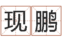 刘现鹏免费新生宝宝起名-给宝宝取名字软件