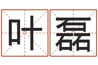 叶磊数字五行-四柱推命学正版