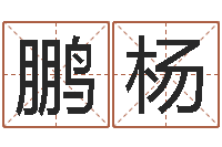 苏鹏杨算命命局资料免费下载-属猴还阴债年运程