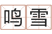 马鸣雪装饰公司起名字-童子命年10月订婚吉日