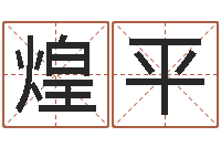 陈煌平易奇合婚-还阴债年男宝宝取名字