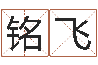 文铭飞辅命夫-盲派八字