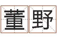 董野电脑公司取名-万年历农历查公历