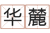 张华麓根据姓名起网名-属蛇的和什么属相最配