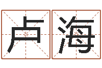 卢海敕命瞧-四柱推测学