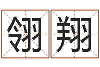 张翎翔水瓶座幸运数字-童子命年开张吉日