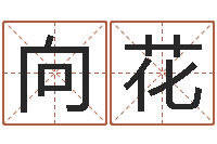 邢向花八字配對下戴-做梦生孩子周公解梦