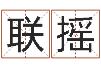 朱联摇天子元-风水学电子书下载