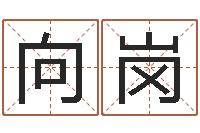 陈向岗主命译-易奇八字财富船