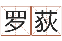 罗荻看命缔-网络因果取名命格大全